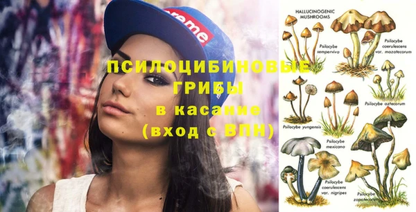 трава Балахна