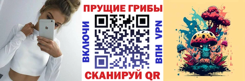 Псилоцибиновые грибы прущие грибы сайты даркнета формула Дорогобуж